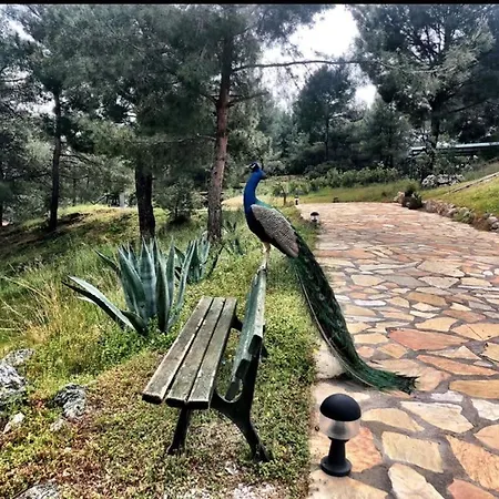 Σπίτι διακοπών Excellent Home With Shared Pool Surrounded By Nature In Marmaris *