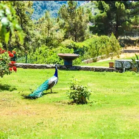 Excellent Home With Shared Pool Surrounded By Nature In Marmaris * Μούγκλα